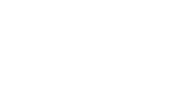 AVO Logo